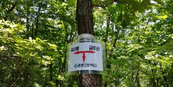 �������� �׸���ŷ Ȱ��(2018�� ��1��) ÷���̹���