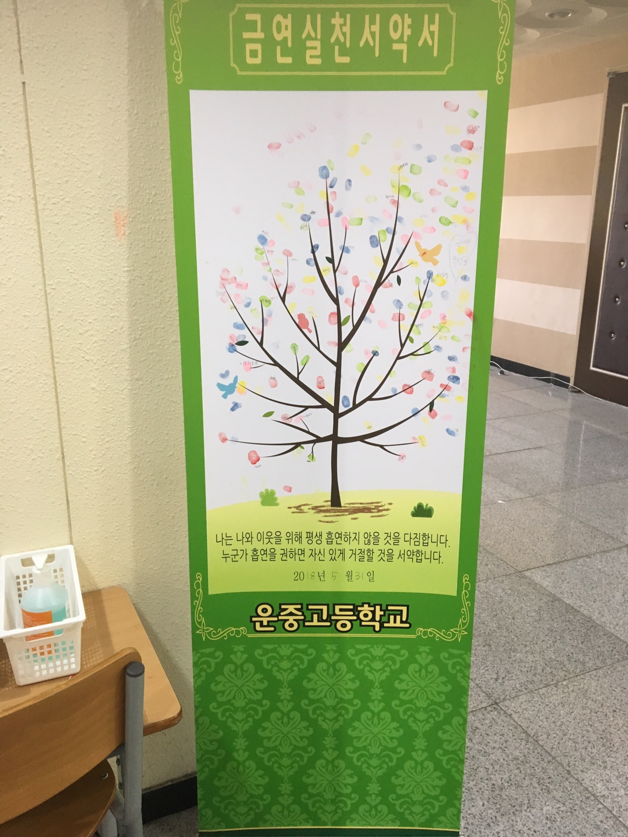 �츮�� ���� ���� �ݿ�����