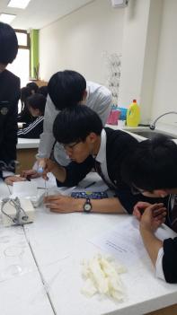 ANIS���Ƹ�Ȱ��(4/6) ÷���̹���