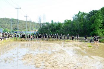 2016 1�г� ���̺���Ȱ�� ÷���̹���