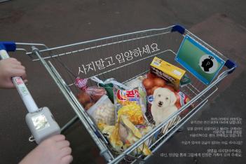 ����� �Ծ� ķ���� ������ ���� ��ɱ�� ... ÷���̹���