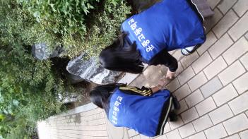 �л�ȸ(�ٸ���Ȱ��) ����,�� ȯ����ȭȰ�� ÷���̹���