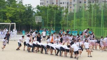 2017 ����ü��������(5.12) ÷���̹���