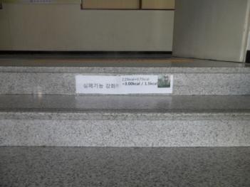 �л���ġȸ ���������� ķ����Ȱ�� ÷���̹���